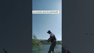 #keşfetteyiz #dogadan #fishing #keşfet #doğa #dogal #shortsvideo #balık #balıkavı #perch #levrek