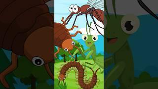 mosquito. bedbug. centipede. mantis  #el4kids #learning #animals #english #shorts  #onlineclass4kids