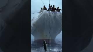 Seafishing \ A Real Fishing Blockbuster #fishingvideo#saltfishing