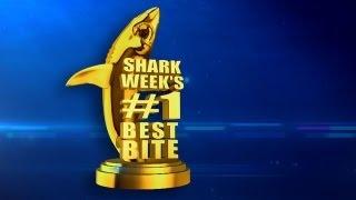 Shark Week's Greatest Shot | Shark Week's 25 Best Bites -- Shark Week 2012