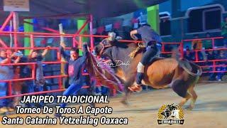 SANTA CATARINA YETZELALAG TONEO DE CAPOTE TOROS CRIOLLOS SEPTIEMBRE 2024