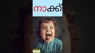 'ന' മലയാളം വ്യഞ്ജനാക്ഷരം | malayalam vyanjanaksharam #aksharamala #alphabetsounds #malayalamaksharam