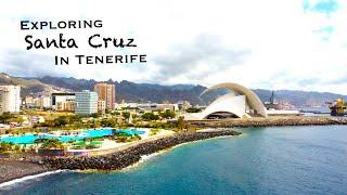 We went to Santa Cruz, the main city in Tenerife.