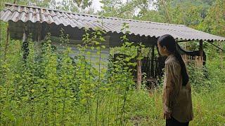 Wandering luckily found an abandoned house to take shelter. The kind man wants to know the truth