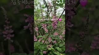 #김용빈 #마음의 자유천지 #미스터트롯3 #여수# 여수여행 #백리섬섬길 #남파랑길 #시골풍경