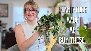 Plants Youtube Made Me Buy ‍️ Plant-Tube Made Me Buy These- Houseplant Collections