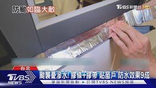 颱襲憂滲水! 膠條+膠帶「貼窗戶」防水效果9成｜TVBS新聞 @TVBSNEWS02