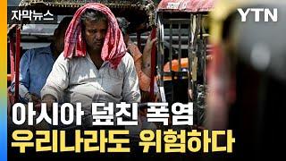 [자막뉴스] 아시아 전역에 '살인적인 폭염'...기상청, 올여름 암울한 전망 / YTN