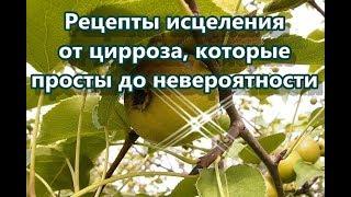 Рецепты исцеления от цирроза, которые просты до невероятности