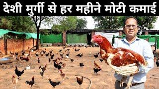 ऐसा अनोखा देशी मुर्गी फार्म देखकर मजा ना आए तो कहना | Desi Murgi Palan | Free Range Poultry Farming