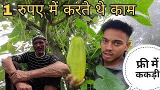 एक रुपया मिलता था 1 दिन का | मानसून में पहाड़ों का बदलता मौसम | pahadi lifestyle vlogs