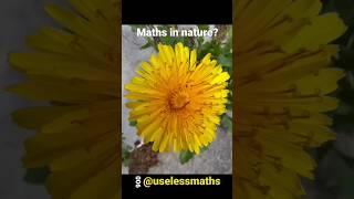 Maths in nature?