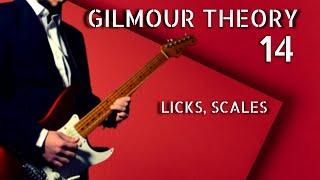 Gilmour Theory: Ep.14 | Licks, Blue Note and Pentatonic Scale