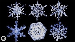 The Science of Snowflakes