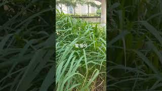 성욕이 강한 사람#정법강의 #성욕문제 #인간관계 #정신공부 #홍익인간 #영혼질량 #자기성장 #인성교육 #성욕컨트롤 #심리공부