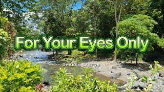 FOR YOUR EYES ONLY - (Karaoke Version) - in the style of Sheena Easton