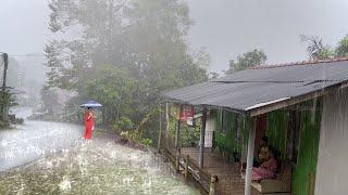 Walking in the rain of Great Thunder in the village Red soil || Hypnotized Weather and calming