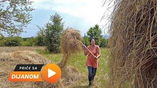 Kazna je plaćena! Sanela prodaje kobilu i ždrijebe da bi kupila konja!