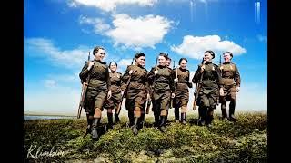 Стальная воля: Женщины-снайперы 2-го Белорусского фронта