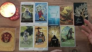 Tam Şu Anda Neler Hissediyor? Tarot