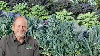 Neutrog TV | How to establish or replant a veggie garden + replenishing soil nutrients