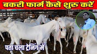 Bakri Farm kaise shuru karen ।बकरी पालन कैसे करें।How to Start Goat Farming