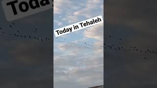 Today in Tehaleh - Sunsets are Back! Find out what it’s really like to live here!