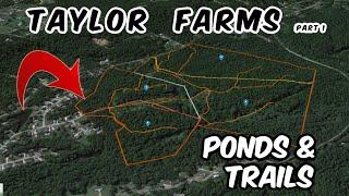 22 & 26 Acres - Home Sites - Ponds, Alabama land for sale - Taylor Farms Part 1