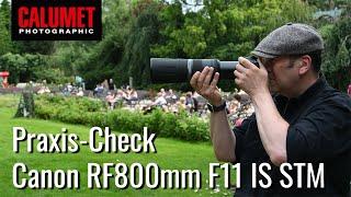 Canon RF 800mm - das Supertele-Objektiv im Praxis - Test | Calumet Photographic