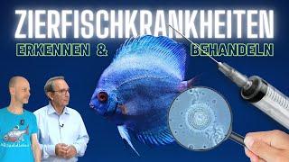 Parasiten, Bakterien, Pilze | Kranke Aquarienfische erkennen und behandeln