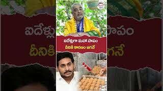 Ramana Deekshitulu On YS Jagan Over Tirumala Laddu Issue | #ttdnews | #tirumalaladdu | #shorts