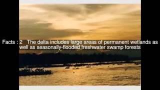 Orinoco Delta Top  #5 Facts