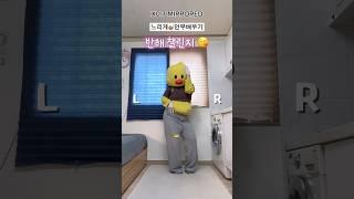 반해 챌린지 2025Ver. 느리게안무배우기(거울모드)/ X0.7 MIRRORED