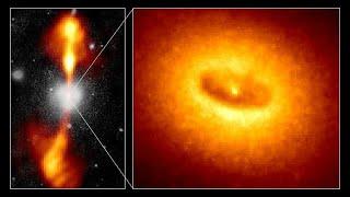 Wal Thornhill: On the Black Hole's Non-existence | Space  News