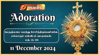  LIVE 11 December 2024 | Adoration 11:00 AM | Madha TV