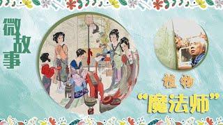 他对植物施起了“魔法”！《红楼梦》里的五十二种色彩在他手中“复活”！| 故事会 Story Hour