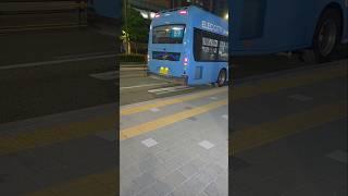 일렉시티 4총사!!