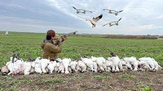 Duck and Goose Hunting a Greenfield! (40 Bird Hunt)