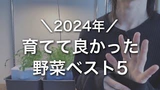 2024年育てて良かった野菜ベスト5