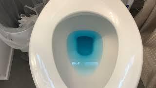 Why did the toliet water turn into slurp juice