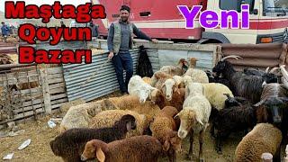 Maştaga Qoyun Bazarı 15 may 2022 #mastagaqoyunbazari #mastagamalbazari #elixezer