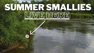 Breaking Down a River in the Summer for Big Smallmouth Bass (Locations and Tips)