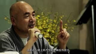 问答四 • 命运与因果的关系 - 济群法师 Master Jiqun