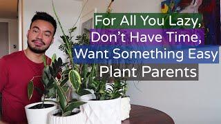 5 Low-Maintenance Houseplants for The Lazy Plant Parent