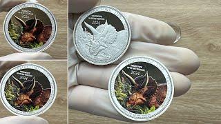 TRICERATOPS Prehistoric Life Coloured 1 Oz Silver Coin 20 Francs Congo 2024