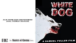 WHITE DOG (Masters of Cinema Clip from the Samuel Fuller directed film)