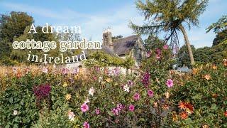  Exploring dream Irish Gardens: June Blake’s Garden & Hunting Brook Gardens 