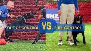 Difference between trained and crazy protection dogs