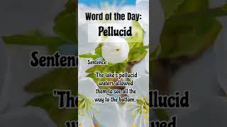 Pellucid