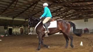 tracy alves teaching Patty/Katana in arena